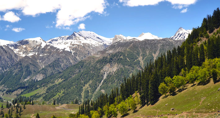 Kashmir Kargil Leh Ladakh Tour
