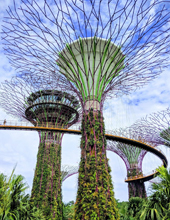 Singapore OCBC Skyway Tour