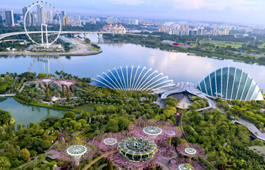 Singapore City View