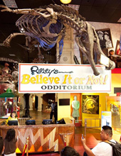 Ripley’s Believe it or not Museum tour