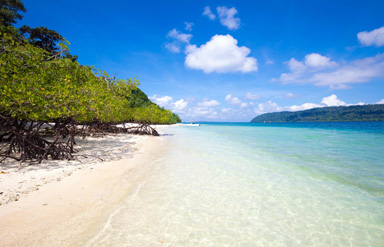 Andaman Beaches