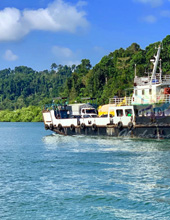 Tour Of Baratang Island