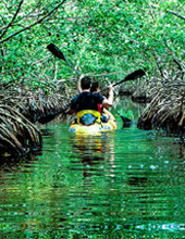 Tour Of Baratang Island