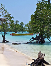 Havelock Island Andaman Islands