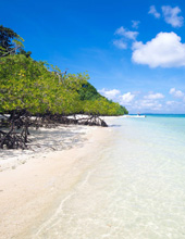 Havelock Island Andaman tour