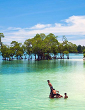 Havelock Island tour