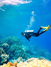 Scuba Diving in Havelock Island
