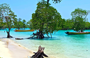 Port blair beaches