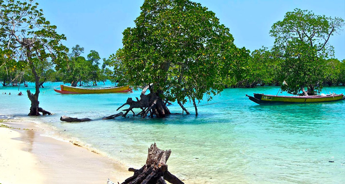 Panoramic Andaman Island Tour