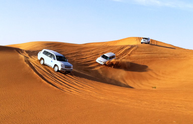 Desert Safari Tour