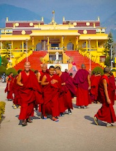 Dharamshala India Buddhist Monastery