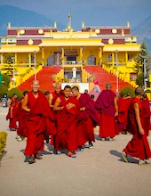 Dharamshala India Buddhist Monastery