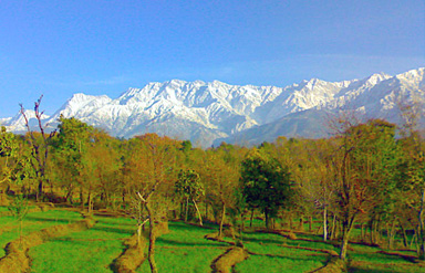 Dhauladhar Himachal Pradesh