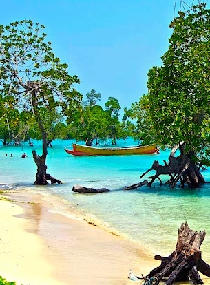 Best of Andaman Islands