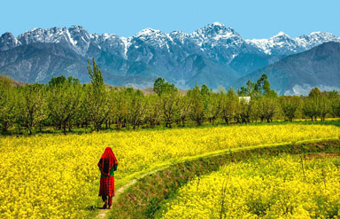 Kashmir Valley