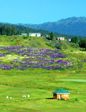 Gondola ride in Gulmarg