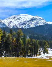 Gulmarg Kashmir tour