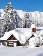 Gulmarg tour