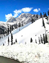 Gulmarg Kashmir tour