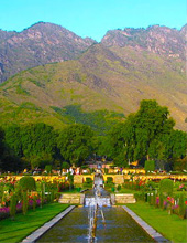 Tour of Mughal Gardens Srinagar