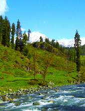 Lidder River Pahalgam Kashmir