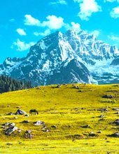 Sonmarg Tour