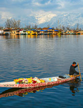 Shikara Ride Dal Lake Srinagar