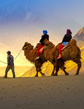 Nubra Valley tour Leh