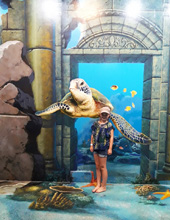 Langkawi 3D Museum