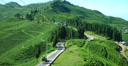 Lachen & Lachung Tour