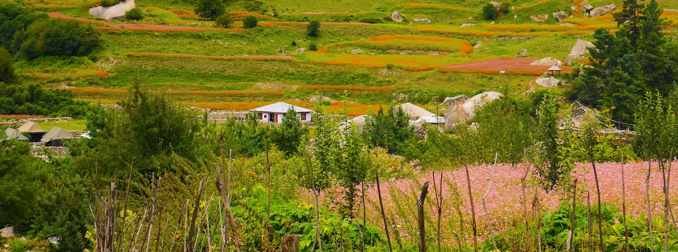 Shimla and Kinnaur Region Himachal Pradesh