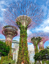 Gardens by the Bay Singapore Tour