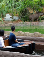 Singapore River Safari Tour