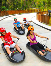 Skyline Luge Sentosa Tour