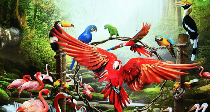 Jurong Bird Park Ultimate package