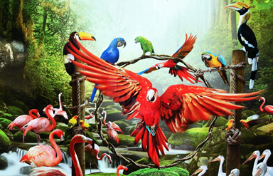 Jurong Bird Park