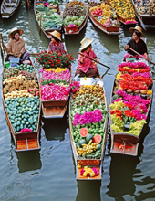 Damnoen Saduak Floating Markets Tour